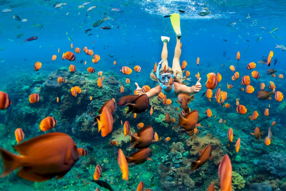 Snorkelers float above colorful coral reefs in the crystal-clear waters off Bai Xep Beach center